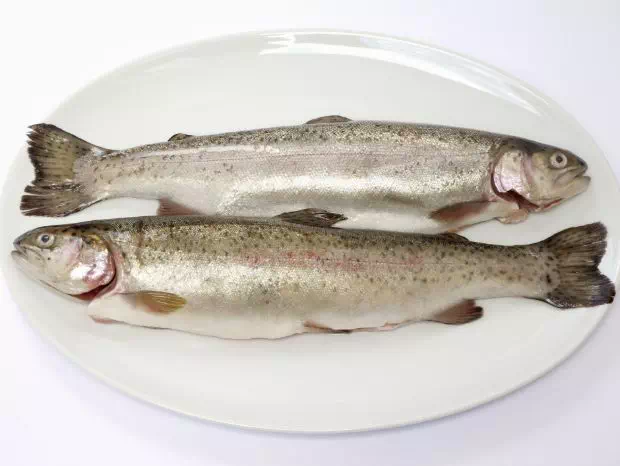 ryby na talerzu